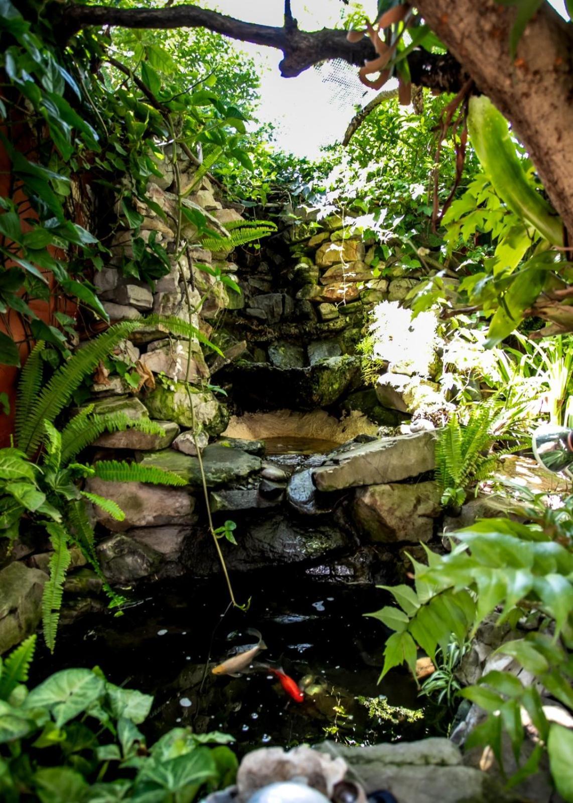 Ostello Zoete Inval Hermanus Esterno foto